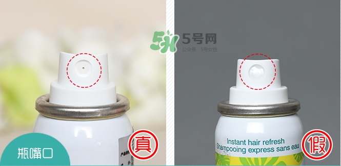 batiste���˿��ˮϴ��������ٱ��Ա�ͼ